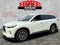 2023 INFINITI QX60 PURE